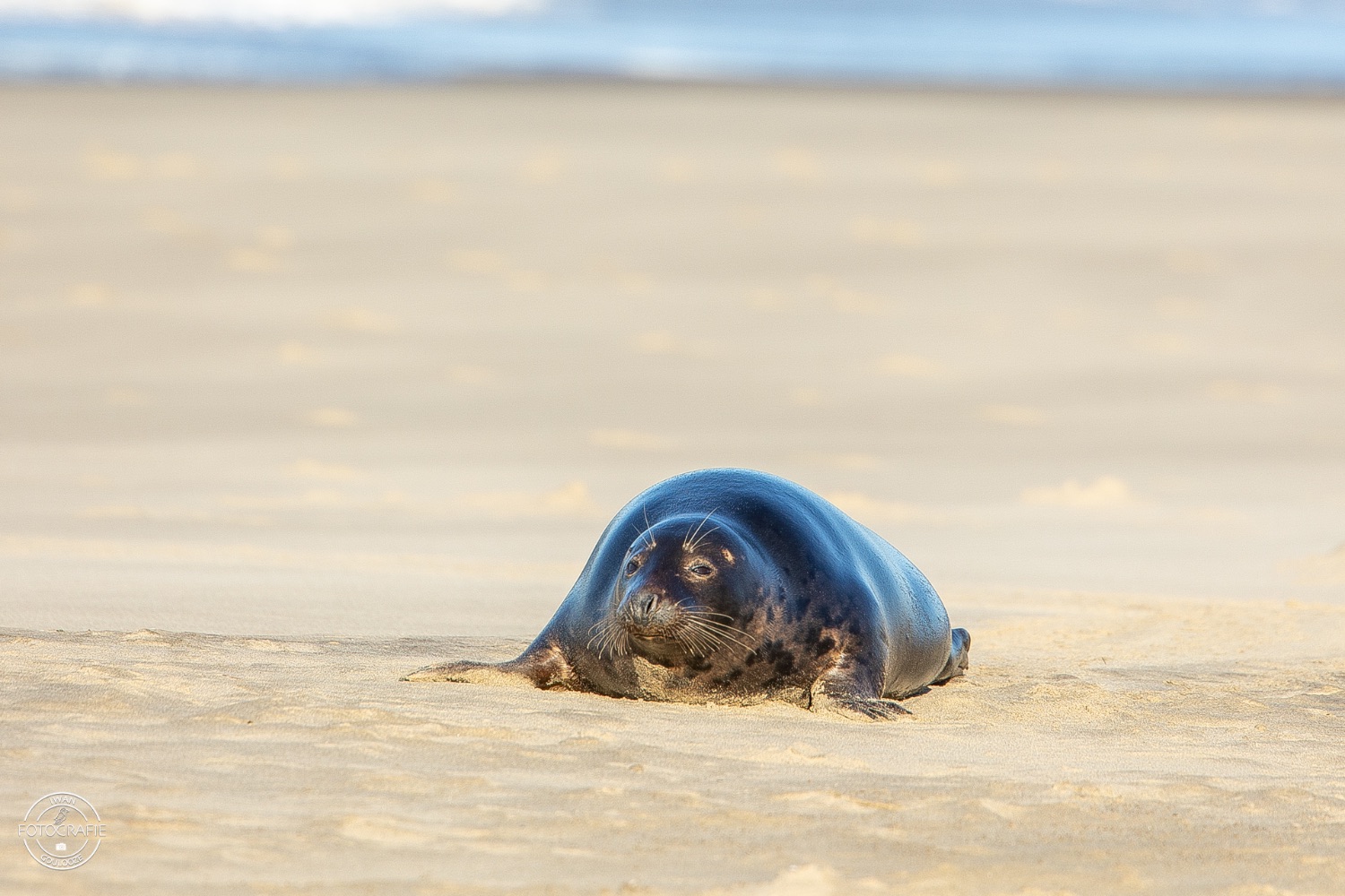 08 januari 2023 142229 1R2A0895